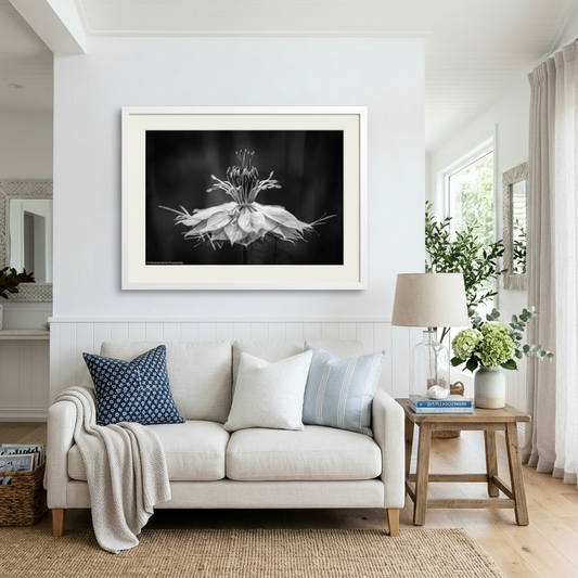 Living room with a white sofa, decorative pillows, and a framed black and white artwork on the wall.