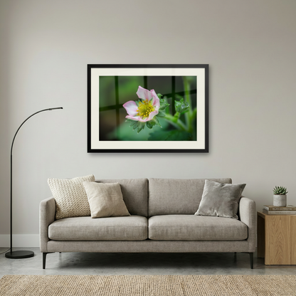 The Strawberry Flower