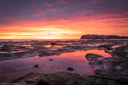 Long Reef sunrise headland panoramic fine art print Sydney Northern Beaches