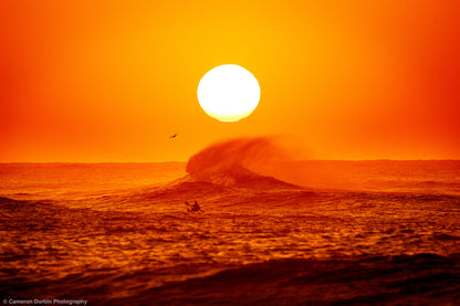 Framed artwork of a sunset over the ocean with a surfer and wave. Northern Beaches Sydney Long Reef