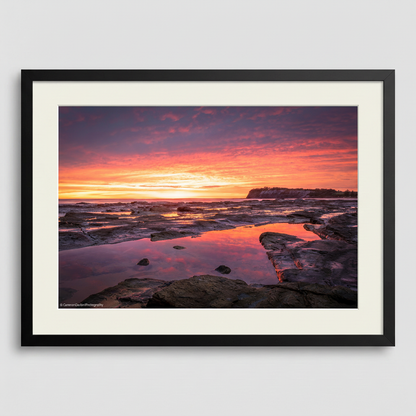 Long Reef sunrise headland panoramic fine art print Sydney Northern Beaches